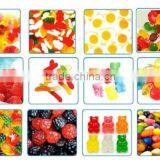 Small Carrageenan/Pectin/Gelatin Gummy Jelly Candy Production Line thumbnail-2