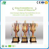 Best Green Tea Brands as Healthy Organic Green Tea thumbnail-5