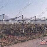 85grm Agriculture Anti-hail HDPE Net for Australian Market thumbnail-4