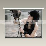 Oem Projection Screen