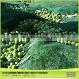 China Wholesale Market Olive Harvest Bet for Sale thumbnail-6