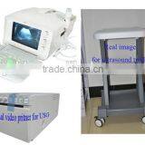 CE Approved Portable B-Mode Ultrasound Scanner With 3.5Mhz Multi-frequency Convex Probe RUS-6000A thumbnail-2