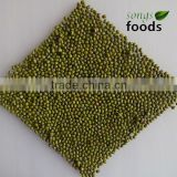 Dry bulk myanmar green mung bean