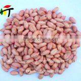 Sweet Delicious Raw Redskin Peanuts for Roasting thumbnail-2
