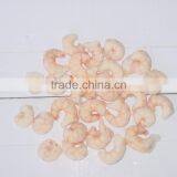 Red Shrimp thumbnail-1