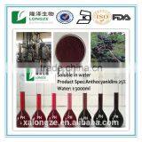 Aronia Extract 5:1,10;1 and 20:1,Anti-oxidant Anthocyanidins 5-25% Aronia Chokeberry Fruit Powder thumbnail-2