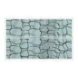 Stainless Steel Knitted Wire Mesh