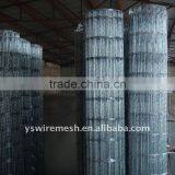High Protecting Welded Fencing thumbnail-1