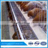 Galvanized Iron Metal Cage for Breeding Chickens in Africa