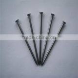 1/2"-13" High Quality Common Nails/ Stainless Steel Nail thumbnail-6