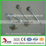 1-1/4" Galvnized Roofing Nails thumbnail-1