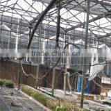 New Premium Galvanized Wire Mesh Greenhouse thumbnail-6