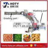 Vegetable Cleaning Machine/Fruit cleaning and Waxing Machine