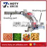 Lemon Grading Machine/pineapple Washing Machine thumbnail-1