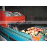 Fruit Selecting Machine/Fruit Pick Up Equipment thumbnail-4