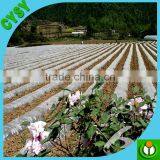 High Quality Perforated Agricultural Plastic Mulch Hole Punch/black Mulch Film thumbnail-2