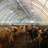 250mm PE Film Covered Single-Span Greenhouse For Cow/Pig Growing thumbnail-1