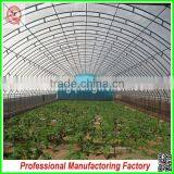 Plastic Multi-span/single-span Greenhouse for Plant Growing With Arched Type thumbnail-5