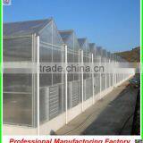 Large Muti-span Polycarbonate Sheet Greenhouse With Irrigation System thumbnail-4
