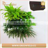 Hanging Vertical Hydroponics Grow System, Vertical Wall Planter thumbnail-1