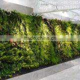 Vertical Artificial Green Wall, Fake Plant Walls ,wall Dropback Decoration thumbnail-4
