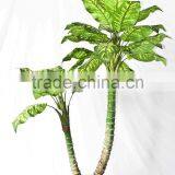 Wholesale Indoor Use Bonsai thumbnail-3