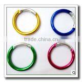 Round Shape Carabiner Keychain thumbnail-1