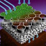 Grass Pavers thumbnail-4