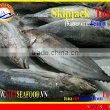 FROZEN SKIPJACK TUNA WHOLE ROUND thumbnail-1