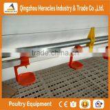 Trade Assurance Low Price Poultry Farming Equipment Automatic Nipple Drinker System for Chicken thumbnail-4