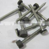 Polished Lead Head Nails With Factory Price thumbnail-1