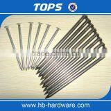 Polished Common Round Wire Nails thumbnail-2