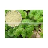 Centella Asiatica Extract thumbnail-1