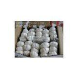 Normal White Garlic (3pcs/small Bag in 10kg/ctn) thumbnail-3