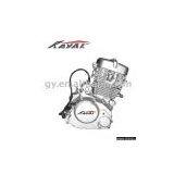 Engine 169FMM(VJ250-1) thumbnail-1