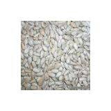Sell Sunflower Seed Kernels thumbnail-1