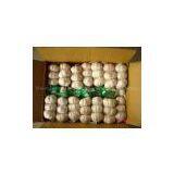 High Quality Fresh Garlic thumbnail-1