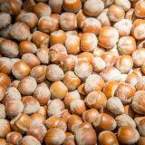 Осушитель лесной ореха thumbnail-5