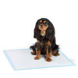 4 Sizes Blue Film Pet Dog Pee Mat Strong Absorption thumbnail-3