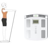 Inbody Body Composition Analyzer Scale Scanner Inbody Tanita