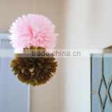 Fluffy Tissue Paper Pom Poms of Different Colors and Sizes