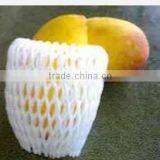 Pomegranate Protective Net thumbnail-1