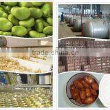 Canned Broad Beans thumbnail-4