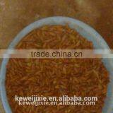 Peach Stoning Machine thumbnail-2