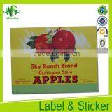 Supermarket Electronic Paper Green Label Price thumbnail-3