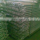 Diagonal brace for ringlock system