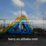 China Cheap Price Inflatable Giant Inflatable Water Slide for Adult thumbnail-3
