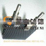 Titanium Electrode for Disinfection for Swimming Pool Water