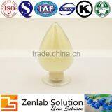 GMP Factory Supply Dried Apple Powder Instant Apple Tea Powder thumbnail-2