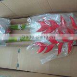Imitation Dropping Heliconia